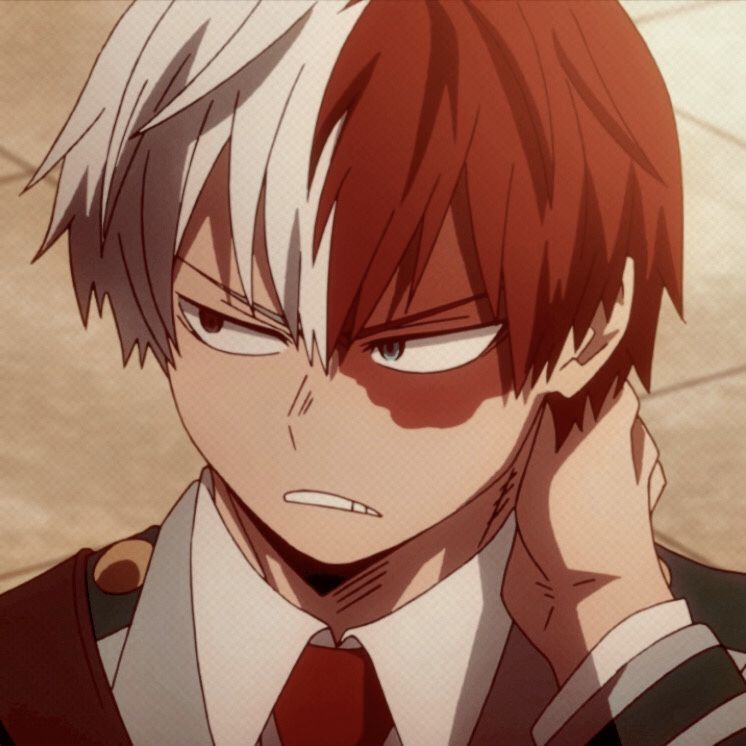 Featured image of post Anime Pfp Mha Todoroki