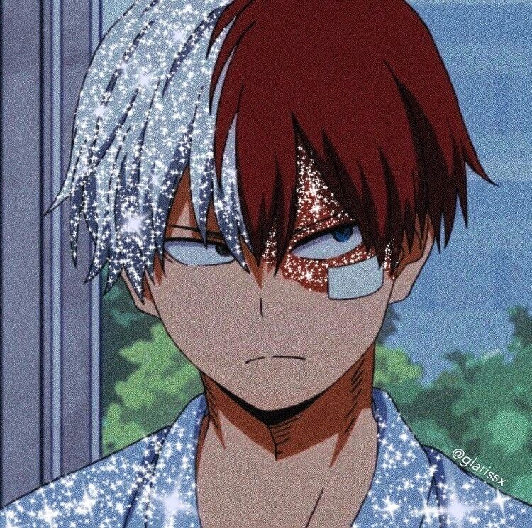 Featured image of post Shoto Todoroki Aesthetic Glitter